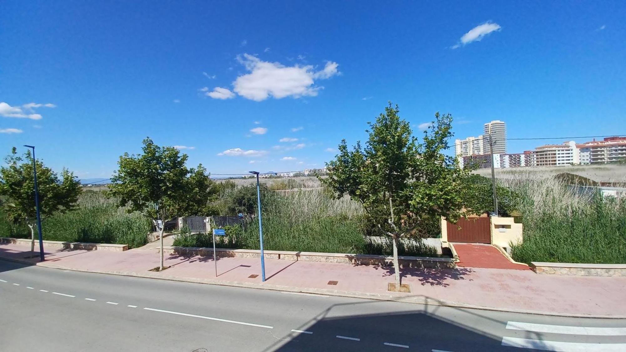 Apartmán Azahares Vista Parque Orangecosta Peñíscola Exteriér fotografie